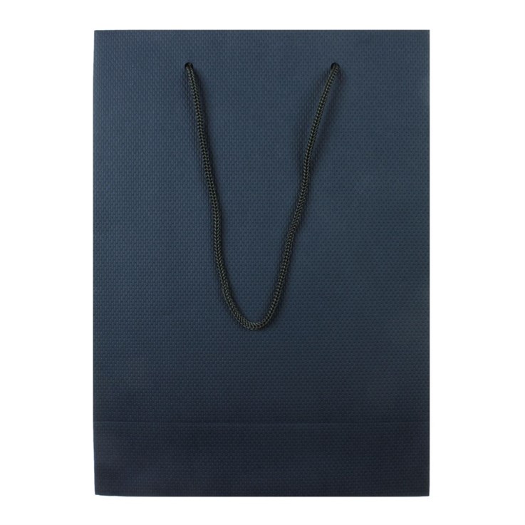 Blue Paper Bag/Rope Handles Large 180x250x85mm