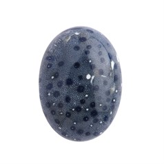 18x13mm Blue Sponge Coral Special Cabochon